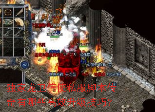 ����������ʹ˽���ű���������Щ��Ч�������ɣ�