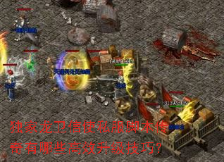 ����������ʹ˽���ű���������Щ��Ч�������ɣ�