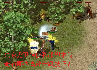 ����������ʹ˽���ű���������Щ��Ч�������ɣ�