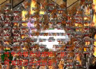 ���������������ԣ������Ч�����ɹ��ʣ�