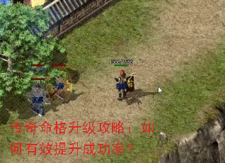 ���������������ԣ������Ч�����ɹ��ʣ�