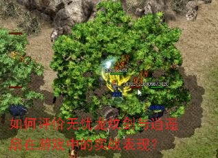 如何评价无忧龙纹剑与逍遥扇在游戏中的实战表现? 如何评价无忧龙纹剑与逍遥扇在游戏中的实战表现?