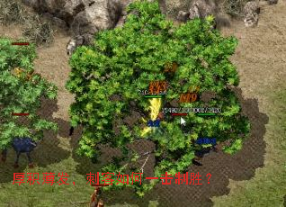 ����������̿����һ����ʤ��