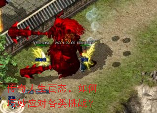 ����������̬���������Ӧ�Ը�����ս��