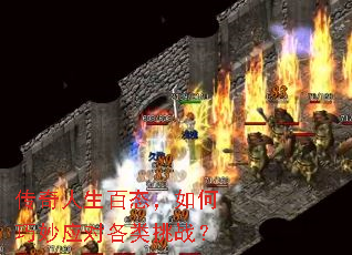 ����������̬���������Ӧ�Ը�����ս��