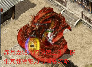 ����������ο������֣�̽���������������ʤ����