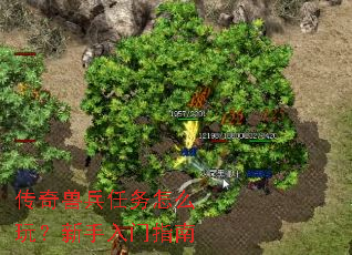 �����ޱ�������ô�棿��������ָ��