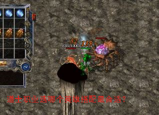 ��ʿְҵѡ�ĸ�Ӣ�۴�������ʣ�