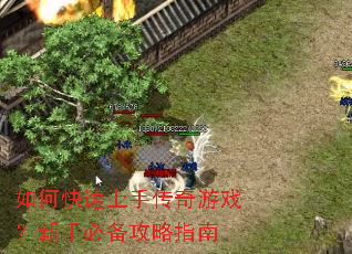 ��ο������ִ�����Ϸ�����ֱر�����ָ��