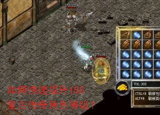 如何快速提升185复古传奇角色等级? 如何快速提升185复古传奇角色等级?