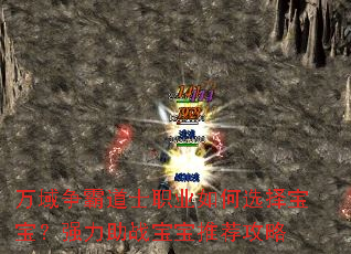 �������Ե�ʿְҵ���ѡ�񱦱���ǿ����ս�����Ƽ�����