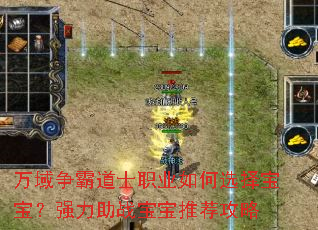 �������Ե�ʿְҵ���ѡ�񱦱���ǿ����ս�����Ƽ�����