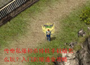 ����˽����ɱ�һ��ֻ�����ô�棿���ŵ���ͨȫ����