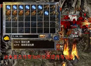 ��ʧ���Ŵ�����ο��������ȼ���