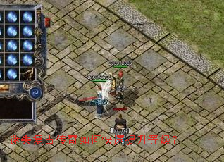 ��ʧ���Ŵ�����ο��������ȼ���