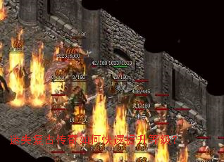 ��ʧ���Ŵ�����ο��������ȼ���