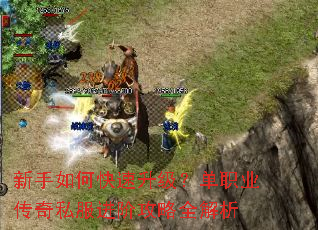 ������ο�����������ְҵ����˽�����׹���ȫ����