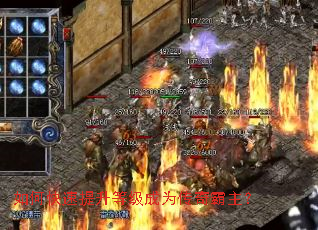 ��ο��������ȼ���Ϊ���������