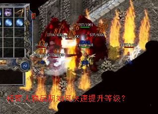 �������������ο��������ȼ���