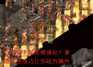 �ؽ䵽�ֺ����ǿ����������Щ��������ս�����