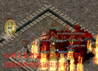 ��δ��㿪ʼ��Ϊ������˫��ְҵ����Ķ�����֣�