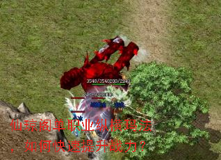 ������ְҵ�ݺ��귨����ο�������ս����