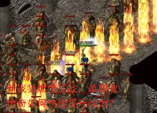 ��ս��ȼ����ս����ְҵ������ο�������ս����