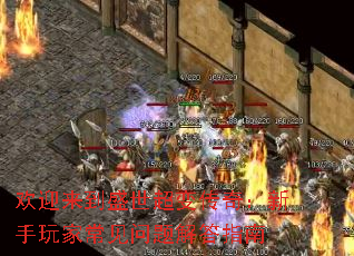 ��ӭ����ʢ�����䴫�棺������ҳ���������ָ��