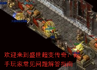 ��ӭ����ʢ�����䴫�棺������ҳ���������ָ��