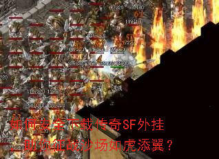 ��ΰ�ȫ���ش���SF��ң�������սɳ���绢������