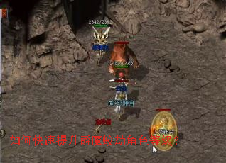 ��ο���������ħ�Խٽ�ɫ�ȼ���