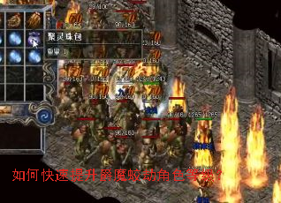 ��ο���������ħ�Խٽ�ɫ�ȼ���