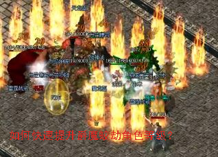 ��ο���������ħ�Խٽ�ɫ�ȼ���