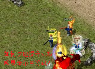 ��ο���������Ĭ������¼��ɫ�ȼ���