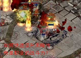 ��ο��������ڰ����浥ְҵ��ս������