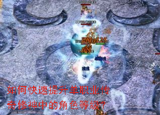 ��ο���������ְҵ���������еĽ�ɫ�ȼ���