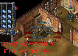 ��ο���������ְҵ���������еĽ�ɫ�ȼ���