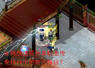 ��ο���������ְҵ���������еĽ�ɫ�ȼ���