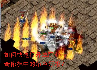 ��ο���������ְҵ���������еĽ�ɫ�ȼ���