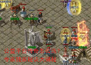 ����ƽ̨������ôѡ��ר�Ҷ����ؾ������