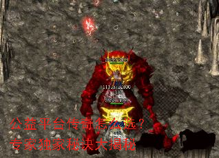 ����ƽ̨������ôѡ��ר�Ҷ����ؾ������