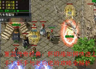 ���´��澭�䣺���ɷ���ο������֣�������������׹���ȫ����