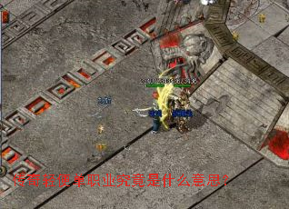 ������㵥ְҵ������ʲô��˼��