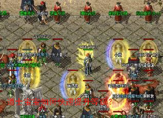 ��ʿ������ο��������ȼ���