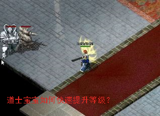 ��ʿ������ο��������ȼ���