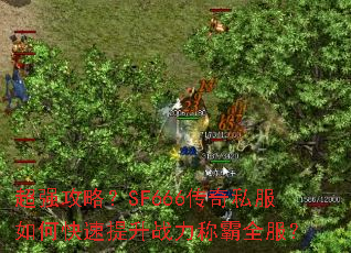 ��ǿ���ԣ�SF666����˽����ο�������ս���ư�ȫ����