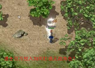 ��ʿ����Ͷ����δ����޵н�ɫ��