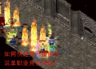 ��ο�������������˵��ְҵ��ɫ�ȼ���