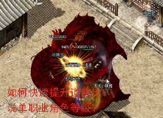 ��ο�������������˵��ְҵ��ɫ�ȼ���