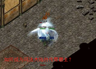 ��γ�Ϊ�귨��½�Ĵ��������